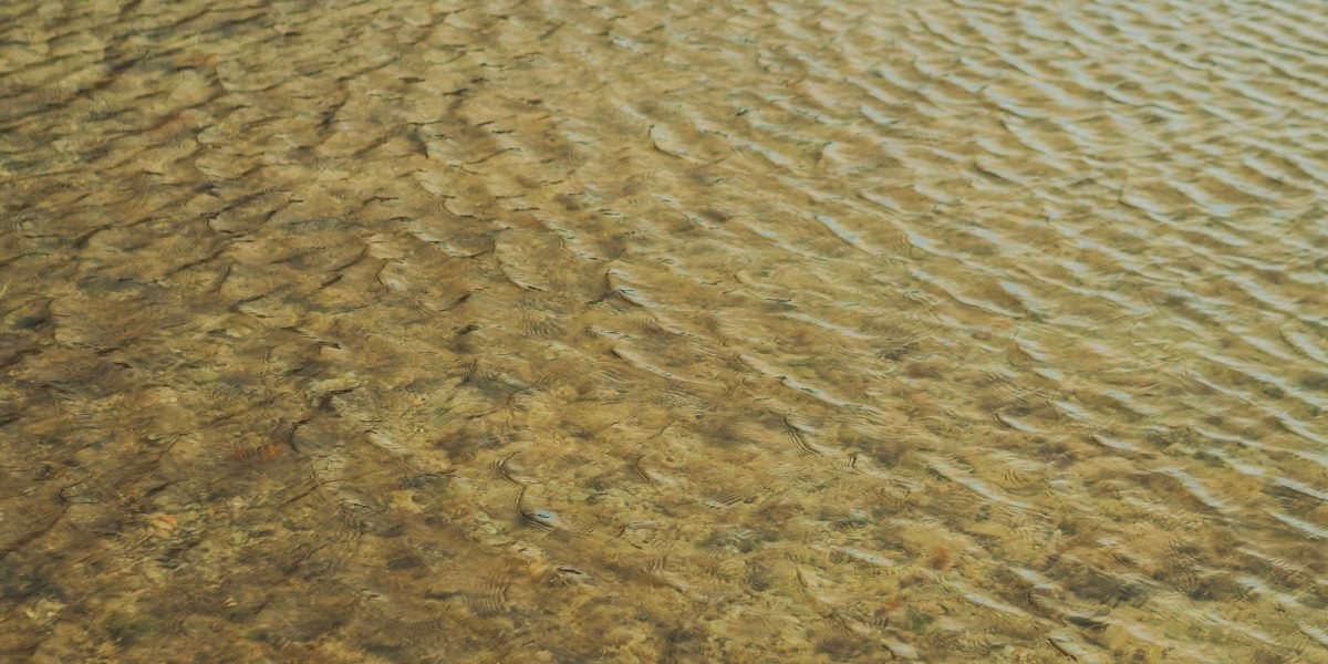 Sunlit ocean surface with microscopic algae overlay